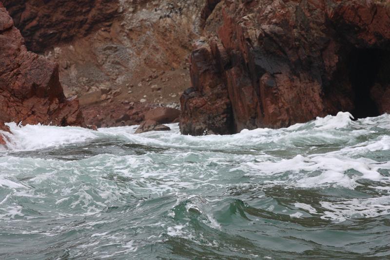 1180-Isole Ballestas,19 luglio 2013.JPG